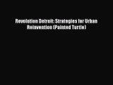 For you Revolution Detroit: Strategies for Urban Reinvention (Painted Turtle)