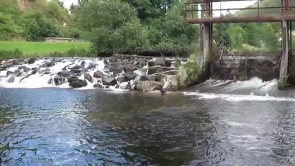 Chute d'Eau Mitteltal Forêt Noire