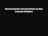 Popular book Macroeconomics from the Bottom-up (New Economic Windows)