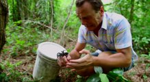 Fred Chesneau terrorisé par une tarentule ! - ZAPPING TÉLÉ DU 19/07/2016 par lezapping