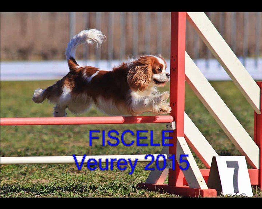 Fiscele Veurey 2015