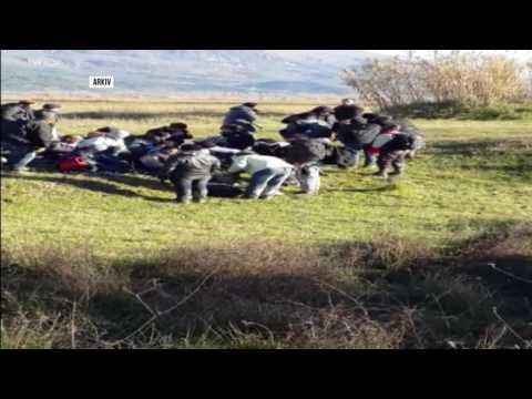 6 të arrestuar për ndihmë në kalim të paligjshëm të kufirit - Top Channel Albania - News - Lajme