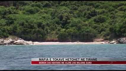 Mafia e tokave hetohet në Tiranë - News, Lajme - Vizion Plus