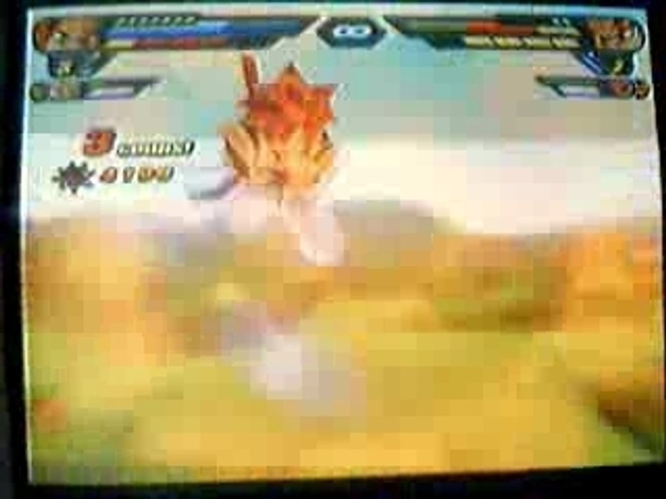 Combat budokai