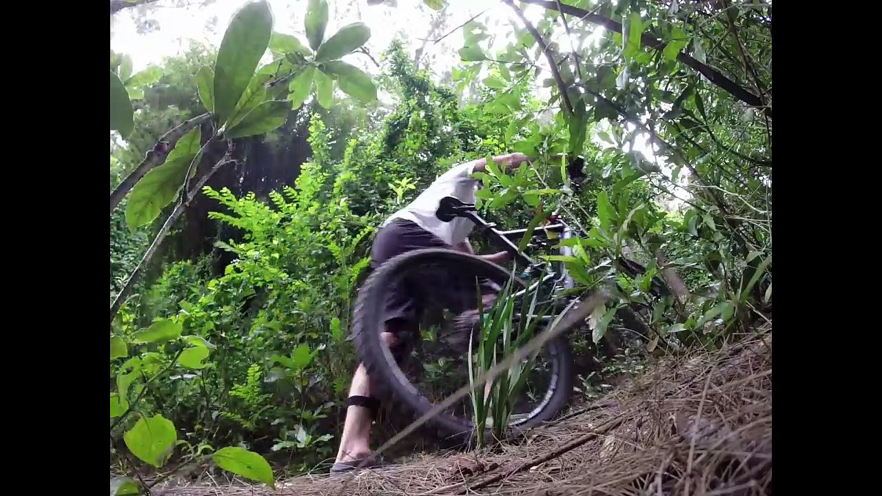 Jungle riding