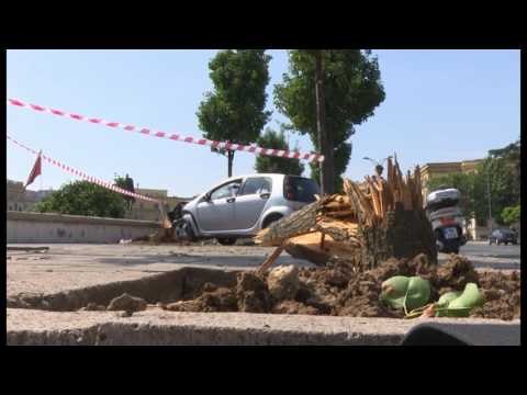 AKSIDENTI NE SHESHIN “SKENDERBEJ”,MAKINA DEL NGA RRUGA,LENDOHET DREJTUESI LAJM mpg