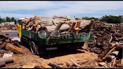 Ora News –  Shkodër, kapet kamioni me lëndë drusore të prerë ilegalisht