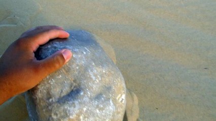 Stony meteorite For Sale  2016 نيزك صخري للبيع