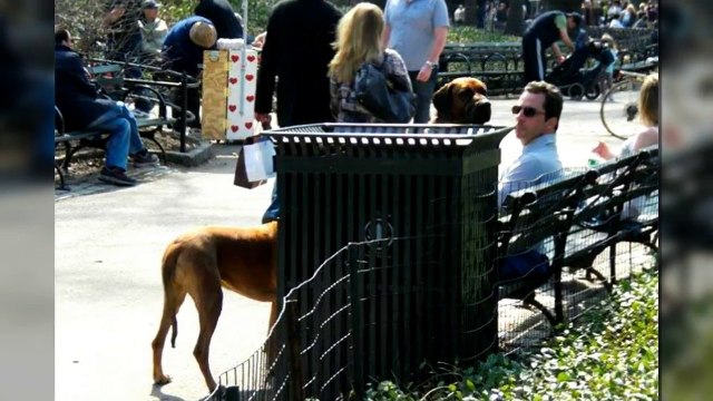 50 Photos Taken At The Right Moment # 3 _ Fotos Tomadas en el Momento Exacto _ Perfectly Timed Pics