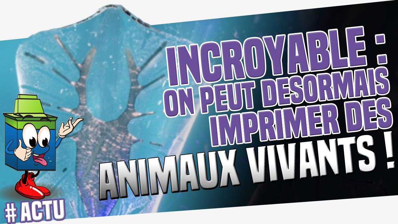 Impression 3D : Ils donnent vie à une raie imprimée