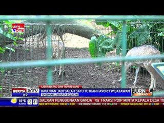 Taman Ragunan, Lokasi Wisata Favorit Warga