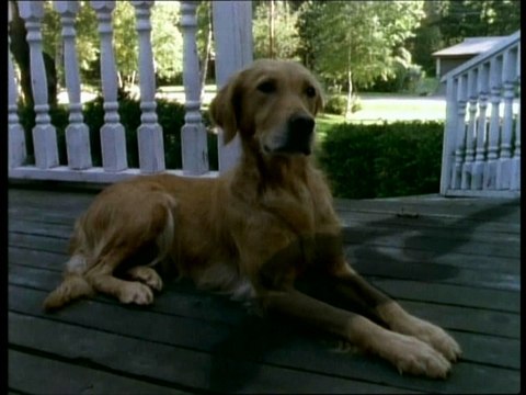 Chair de Poule - Le Loup-Garou Des Marecages Partie 2 (fin de la saison )