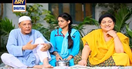 Watch Shehzada Saleem Episode 91 on Ary Digital in High Quality 19th July 2016