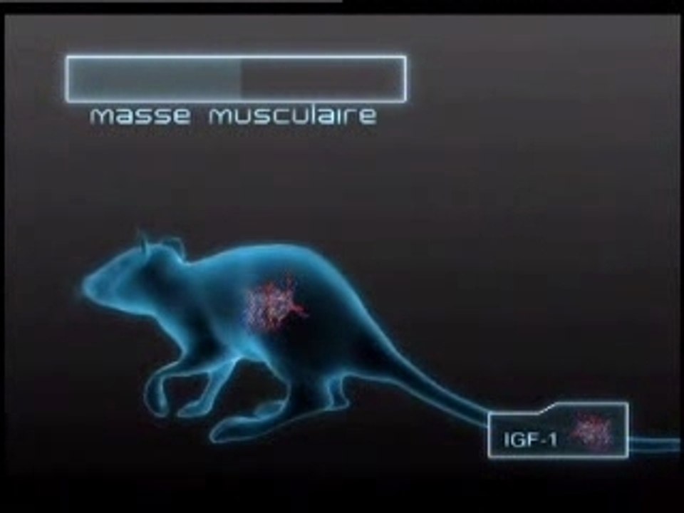 Rayons X - Gène de jeunesse