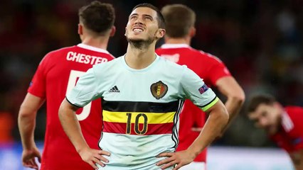 La Belgique recrute son nouveau sélectionneur sur...internet !