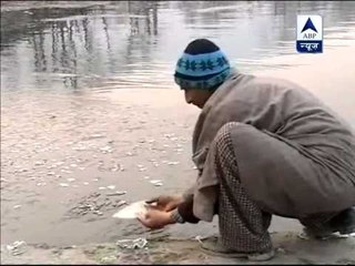 Heavy fog, cold leaves North India shivering