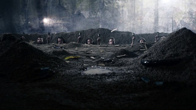 Oranges Don't Grow On Trees