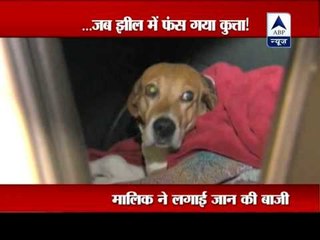 Rescue workers save man and dog stranded on frozen lake in America