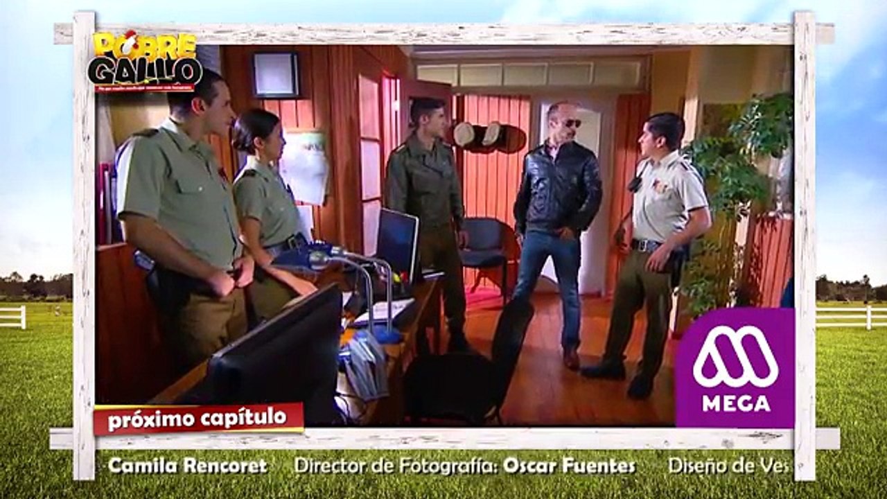 137 Avance Pobre Gallo