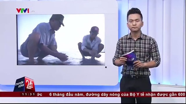 Bạc Liêu công bố nguyên nhân nghêu chết, hàu chết hàng loạt.