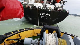 Tugboat sealife - Entrata portacontainer nel porto di ancona