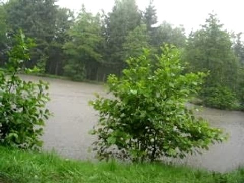 Bourg Fidèle Juin 2007 043