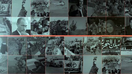 الكلاب الضالة ترعب أهالى ميدان الفاروق بالمقطم