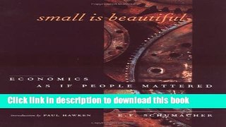 Read Small Is Beautiful Ebook Free