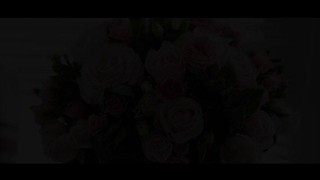 Свадебный клип Виталик и Катя