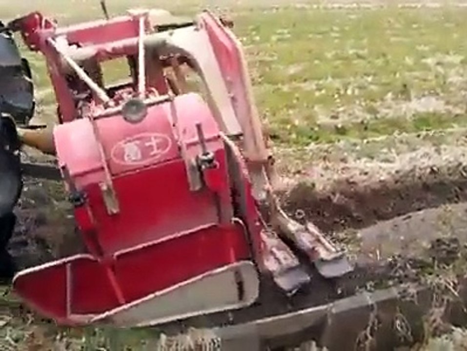Amaizing Video