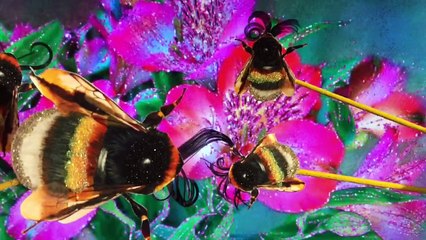 CINEPHONE 2016 : PAPER PUPPET PARADE