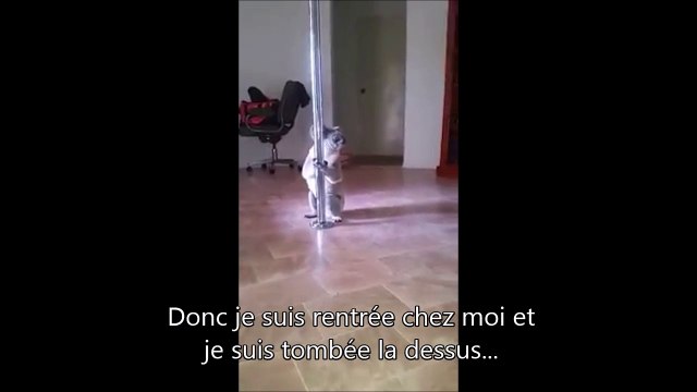 Elle rentre chez elle et tombe sur un Koala qui fait du Pole Dance...