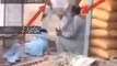 مظفر گڑھ میں ملزم نے مدعی کو انسپکٹر کے سامنے گولی مار دی .مظلوم کا ساتھ دینے کے لیے اس ویڈیو کو پاکستان کے ہر شہری تک پ