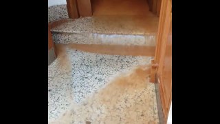 Una fuita fa sortir l'aigua de dintre d'una casa a Sabadell