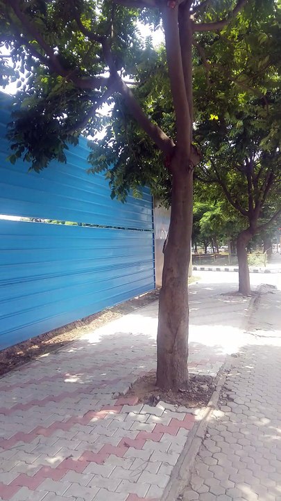 9872720395 Homeland central Park 67 Sector 67 Mohali