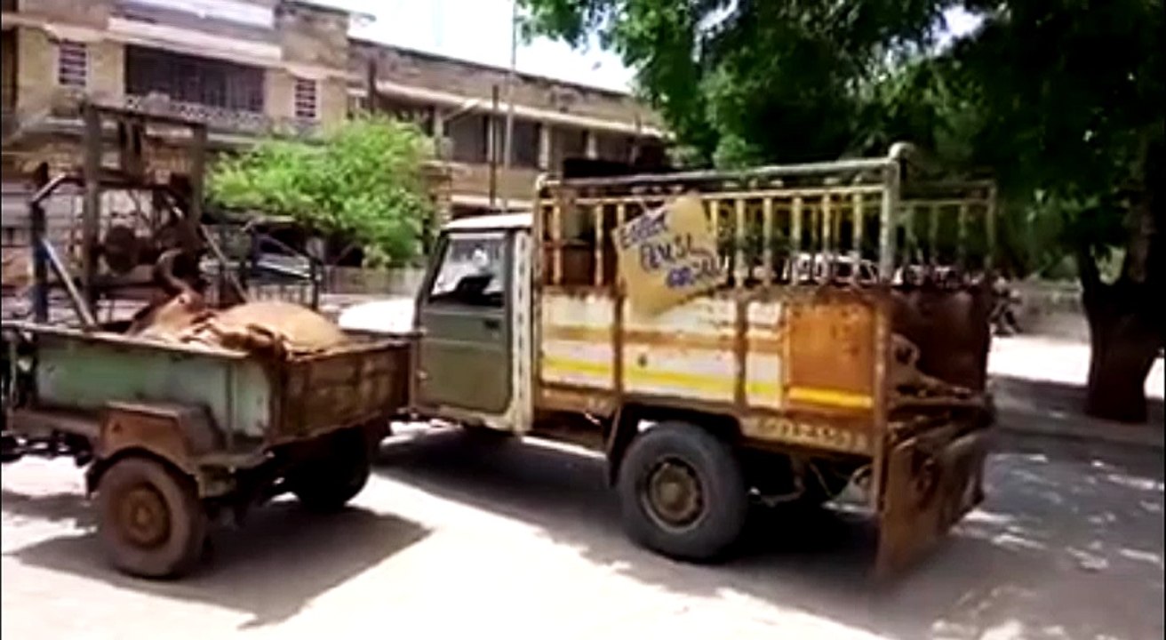 Violent Gujarat, Over Dalit Men Being Beaten By 'Cow Protectors'