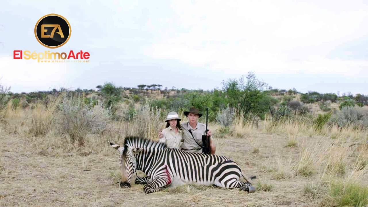 Safari - Teaser tráiler V.O. (HD)