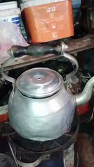 cocking cat, bowling the cat, cat in kattle