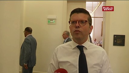 Nous prolongeopns l'état d'urgence "non pas pour rogner sur nos libertés": Luc Carvounas