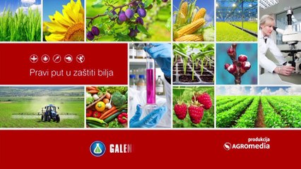 Zašto ratari iz Despotova koriste preparate Galenike-Fitofarmacije 450
