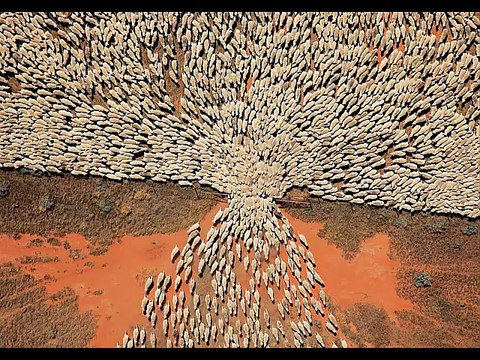 Анатолий Шляхов 80% людей это обыватели