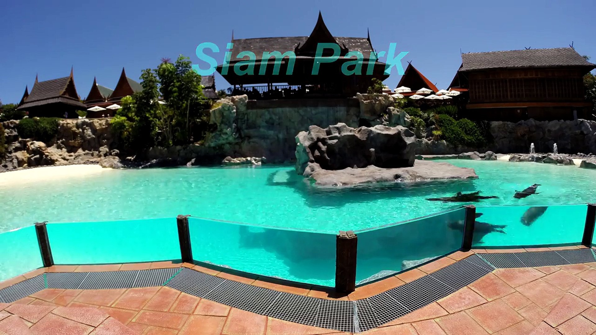 Tenerife (Siam Park) - Timelapse 4K Ultra HD