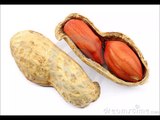 Cracking Peanut Shells Sound Effect