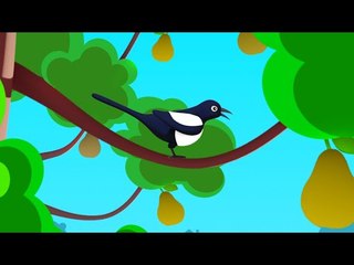 Y'a une Pie dans l'Poirier