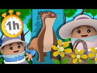 Il Court il Court le Furet + 35 autres Comptines