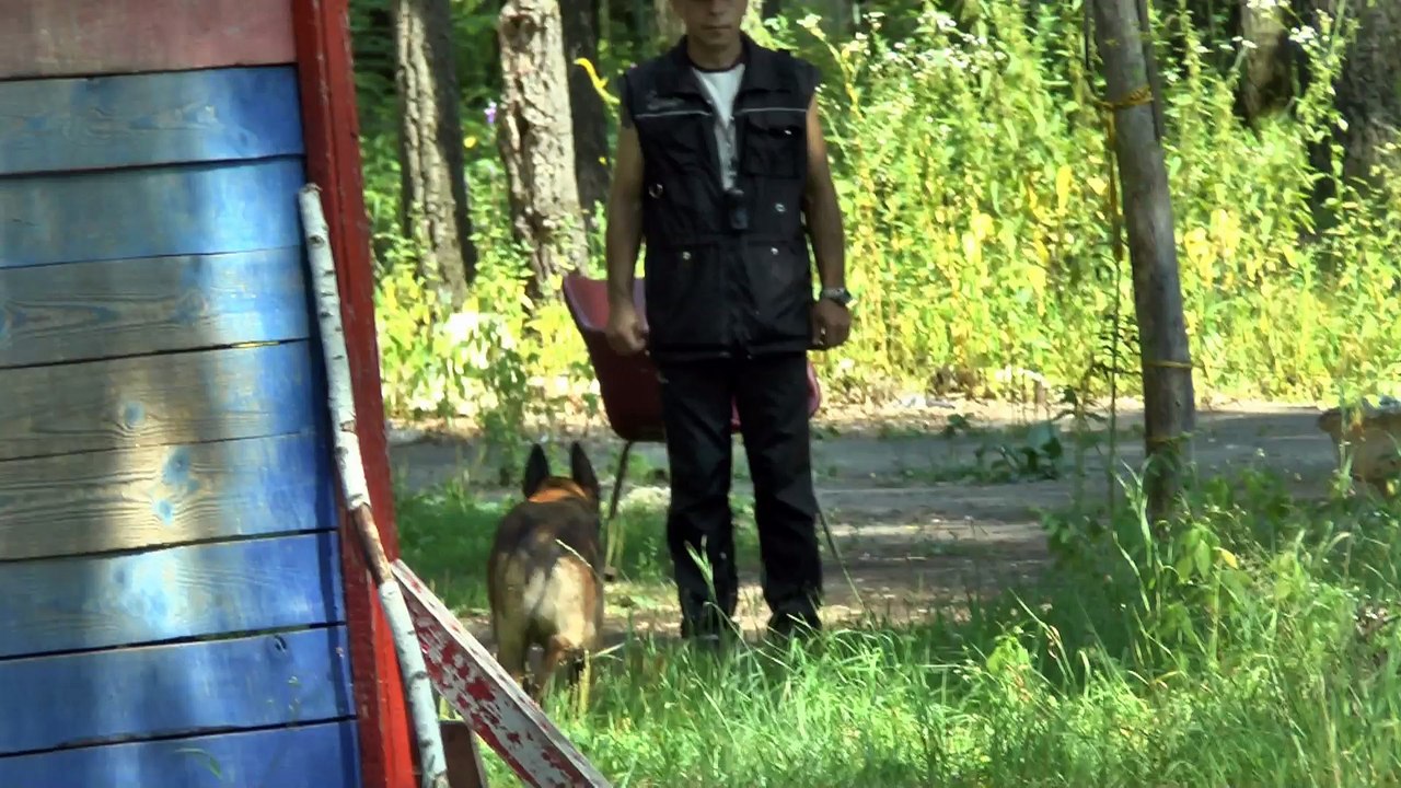 Вэлси тренируется