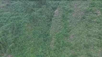 Maçka'daki Terör Saldırısının Ardından Drone ile Aramalar - Trabzon