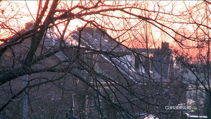 Les joyaux de Rétromobile en exclusivité