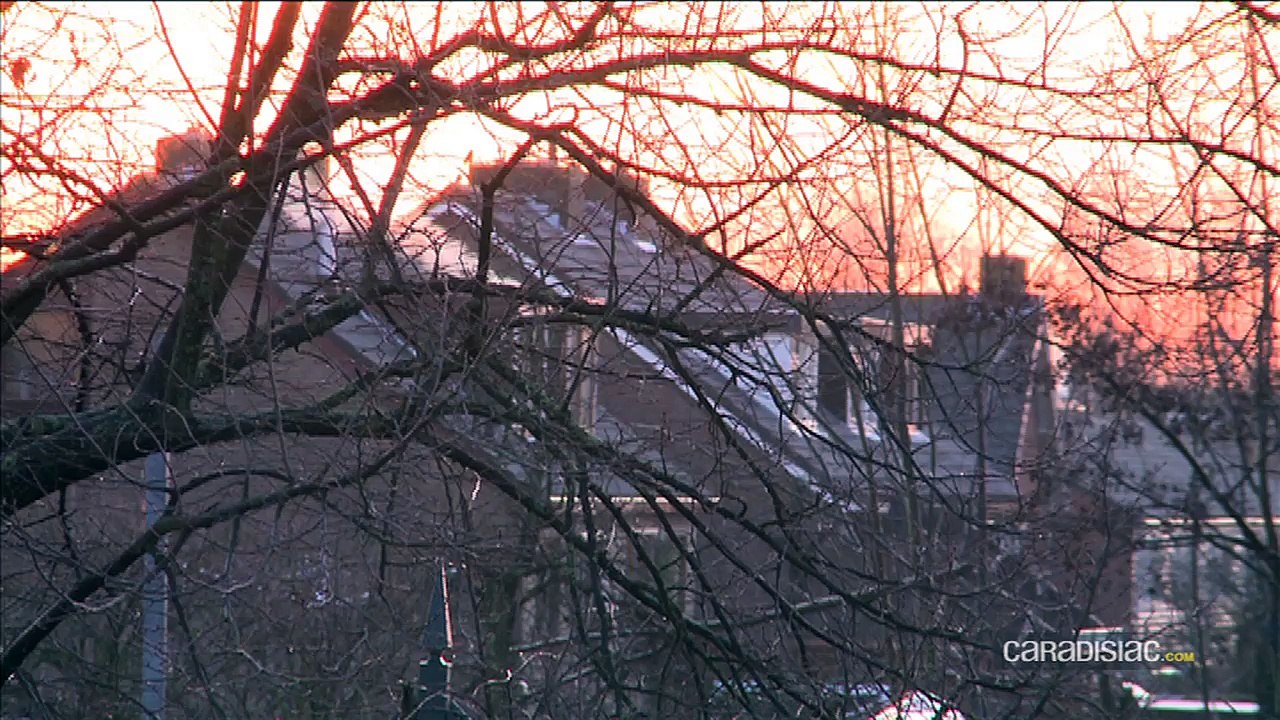 Les joyaux de Rétromobile en exclusivité