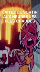 SnapGouv n°18 : Les bons gestes à adopter en cas de fortes chaleurs